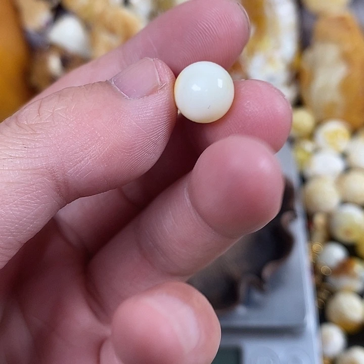 琥珀未镶嵌珠宝奇石我