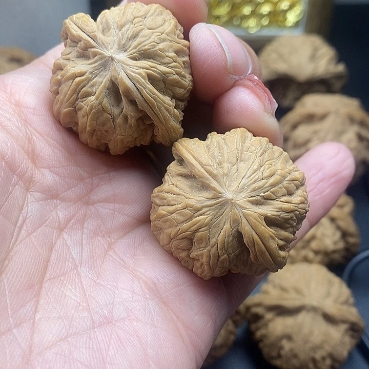 龙脊菩提吊坠磨盘35