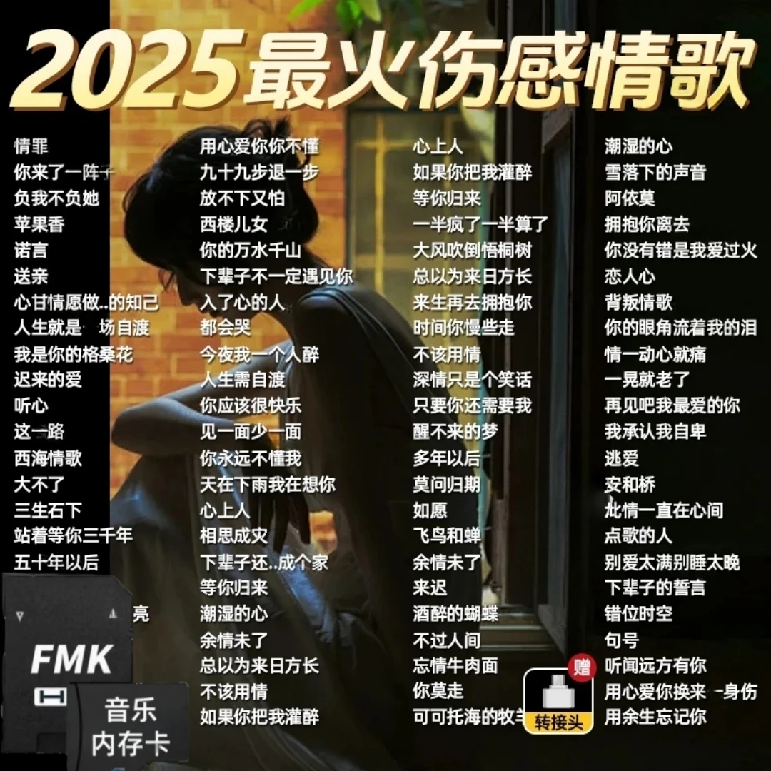 自带歌曲2025网红歌曲无损抖音热歌tf卡音乐卡储存mp3内存sd卡