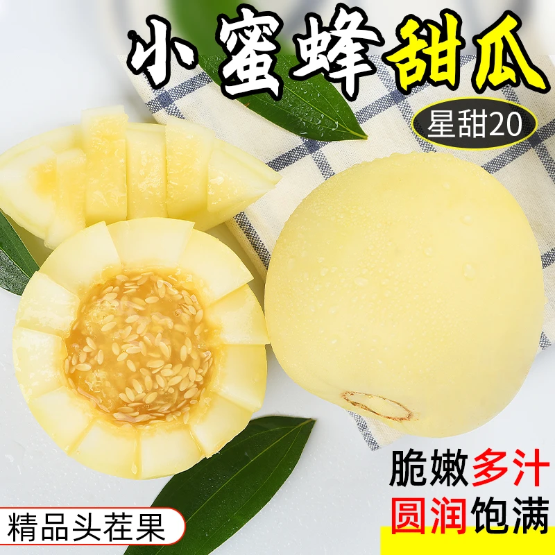 山东小蜜蜂甜瓜新鲜当季水果整箱星甜白糖罐绿宝蜜罐羊角香瓜自然