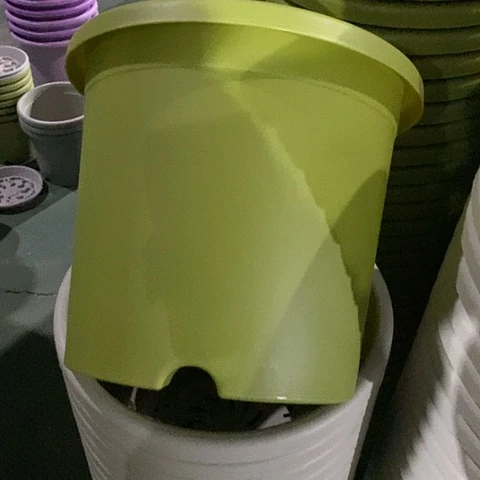 树脂四季5号果绿无托6个微瑕