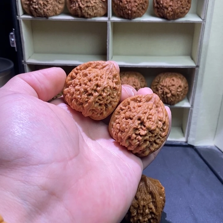 吊坠文玩核桃40老树蚂蚁王