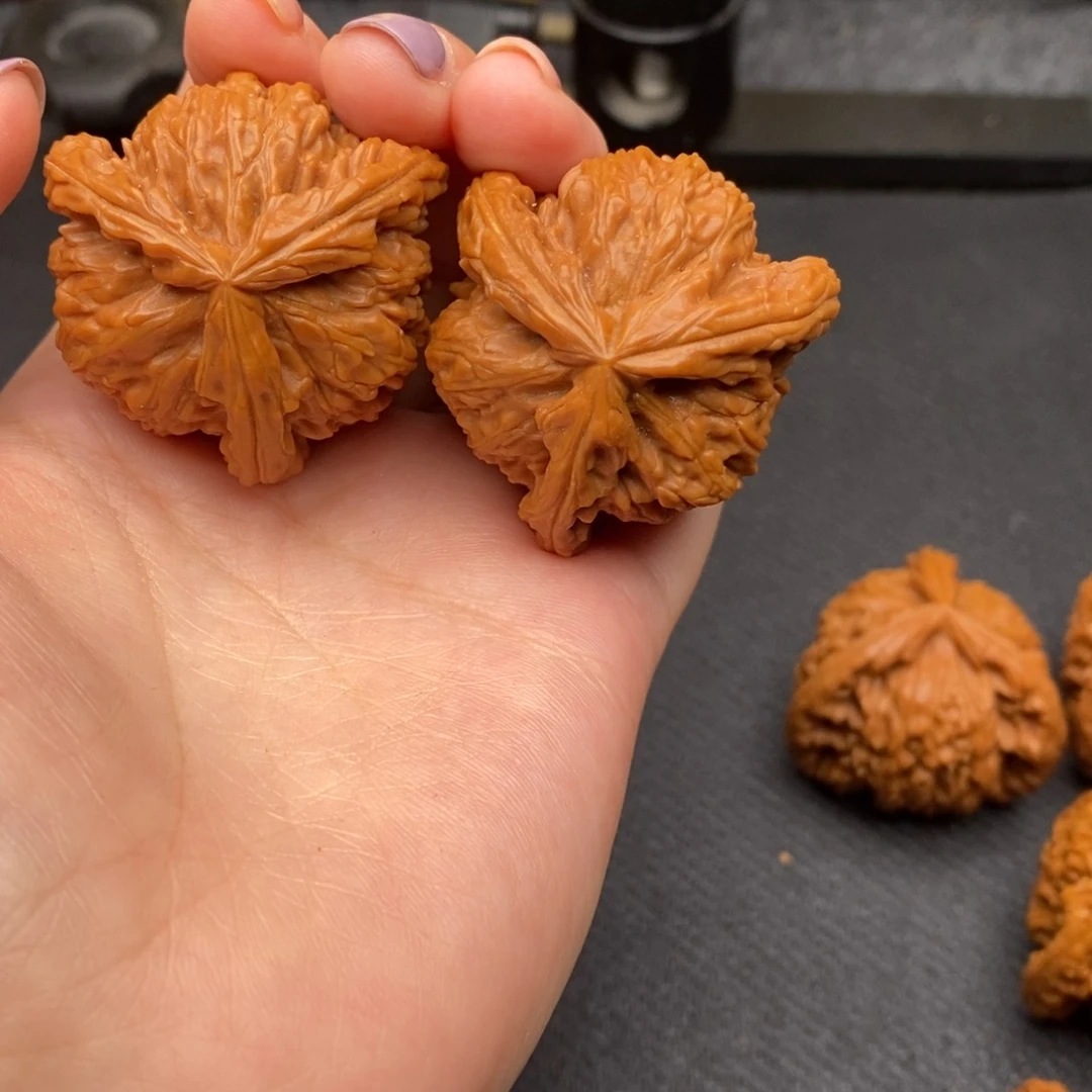 你***吃白狮子11111111111