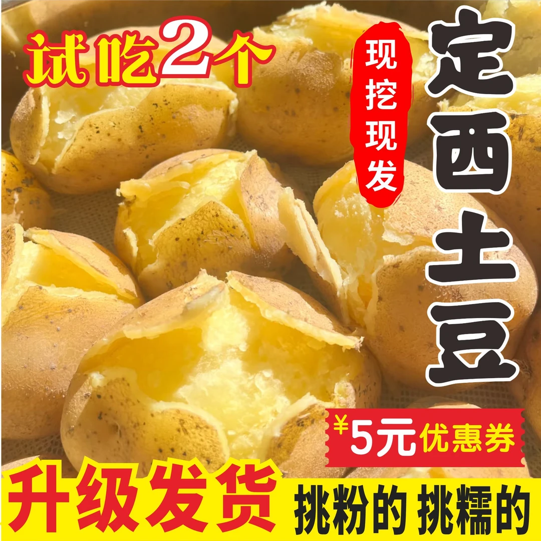 【试吃两个 升级规格发货】定西土豆 粉面糯沙黄心土豆洋芋马铃薯
