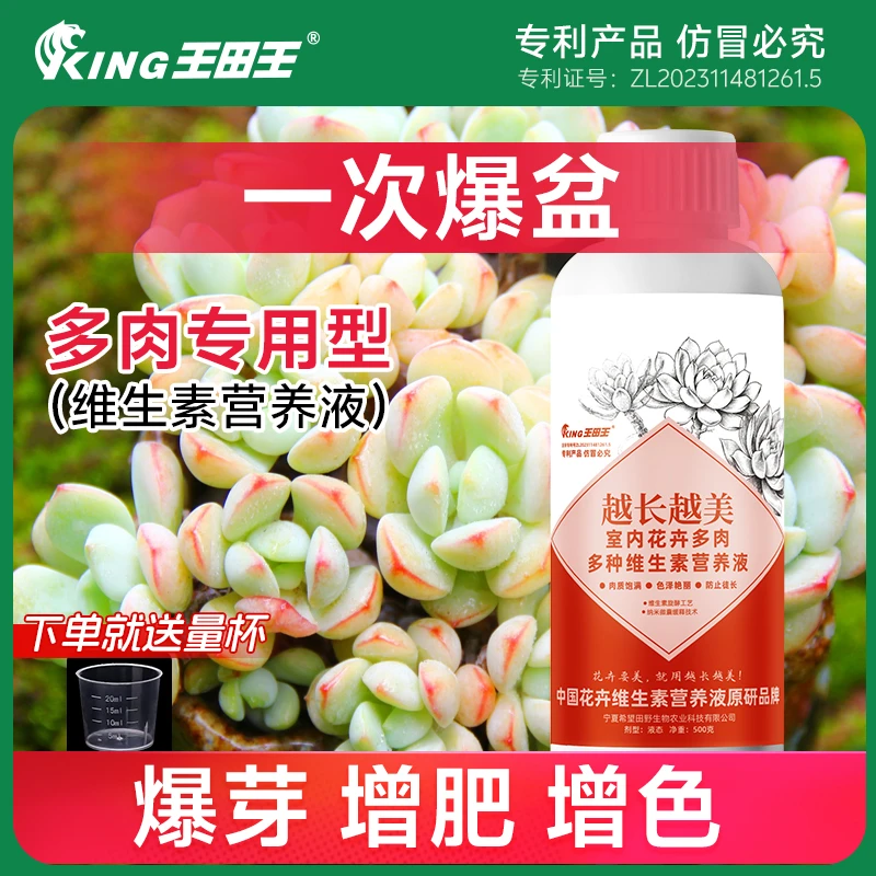 王田王多肉专用营养液通用生根增肉爆芽防陡长橙梦露白牡丹冲施肥