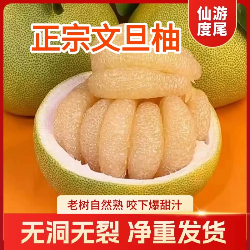 【小林严选】福建仙游度尾文旦柚当季新鲜果园现摘酸甜多汁【无孔果】