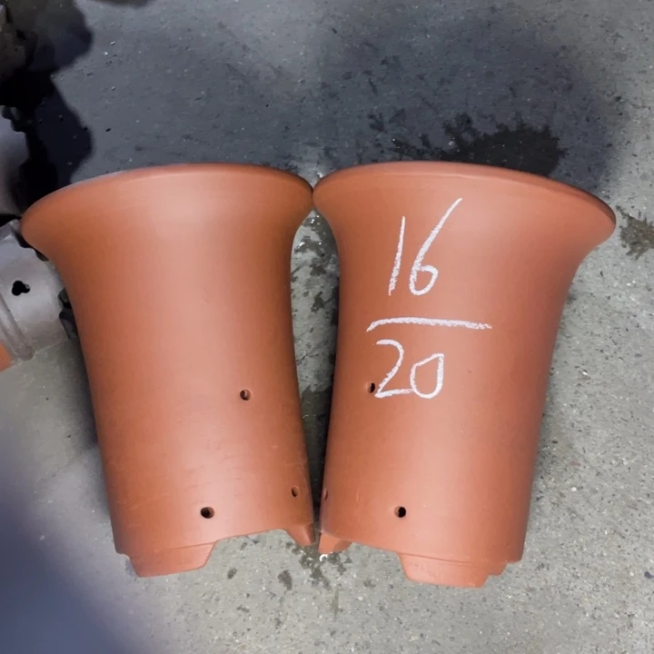 试试再说周三周四