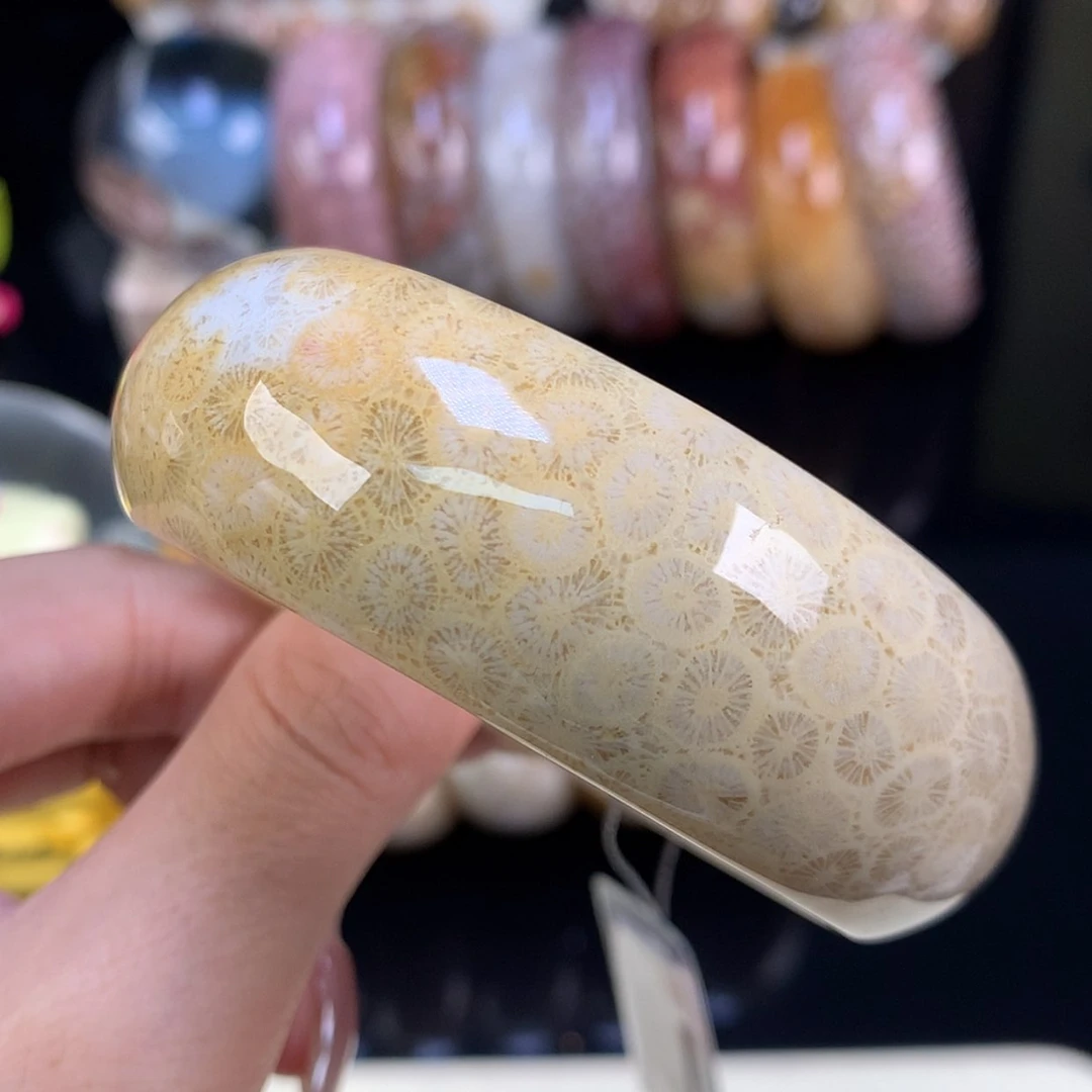 【闪购商品】颈饰未镶嵌硅化珊瑚（珊瑚玉）福利手镯54.7（23号）