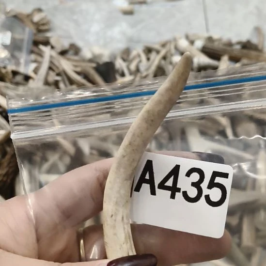 熊****鹿角鹿角鹿角鹿角鹿角