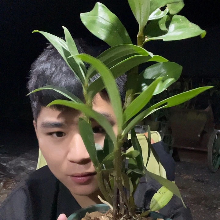完全开放无需多言