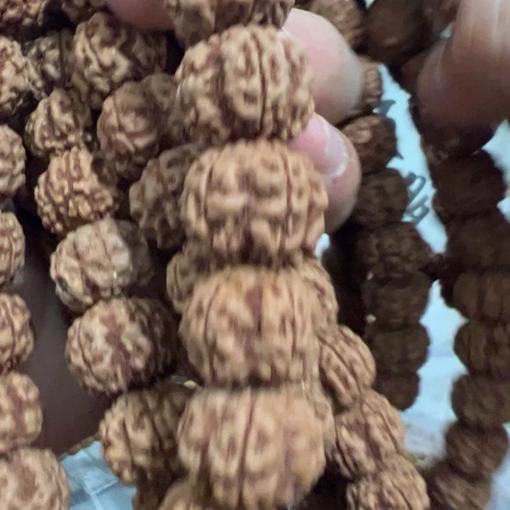 毒药梅花9.9两条111