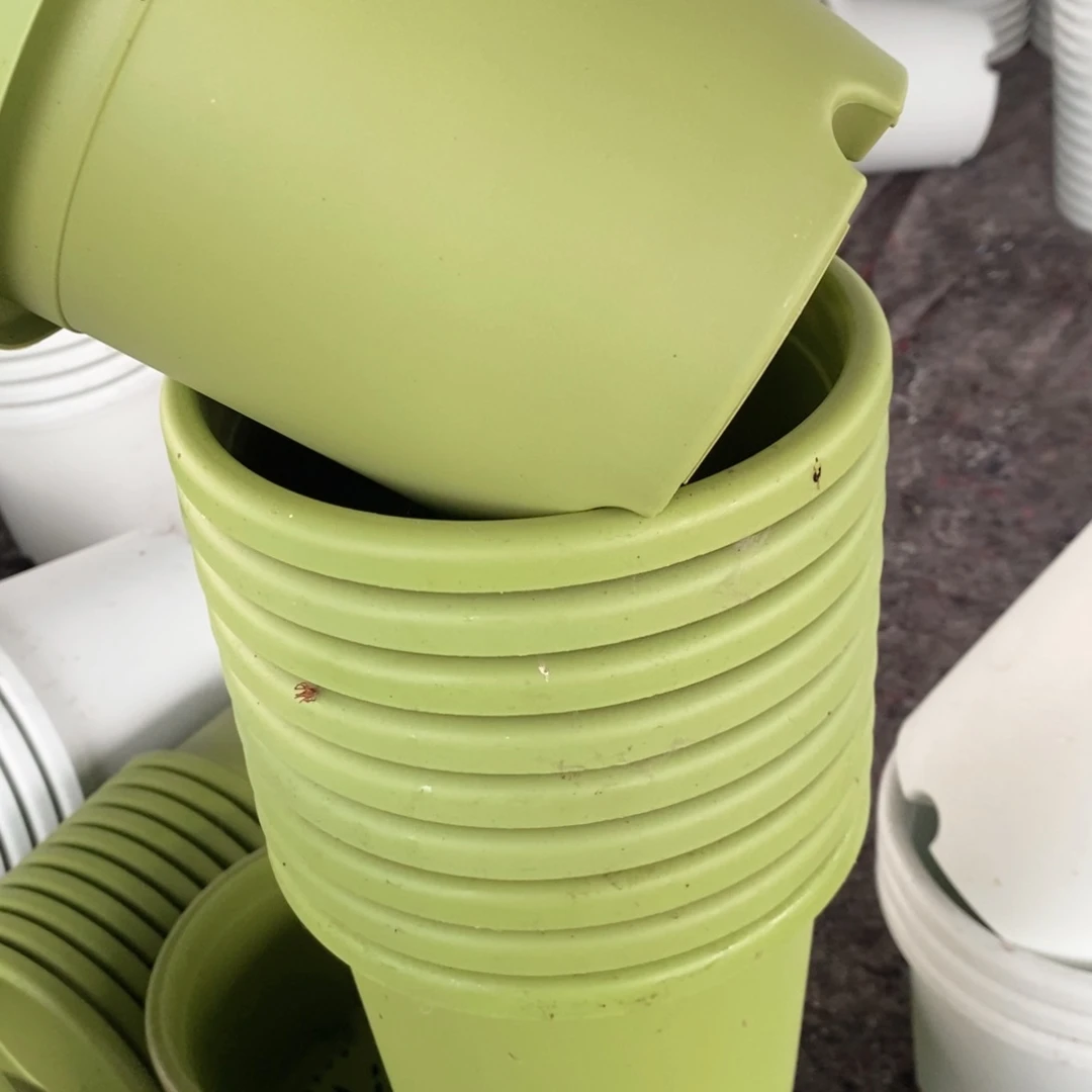 10个17口果绿落灰无托伊特（17×14）