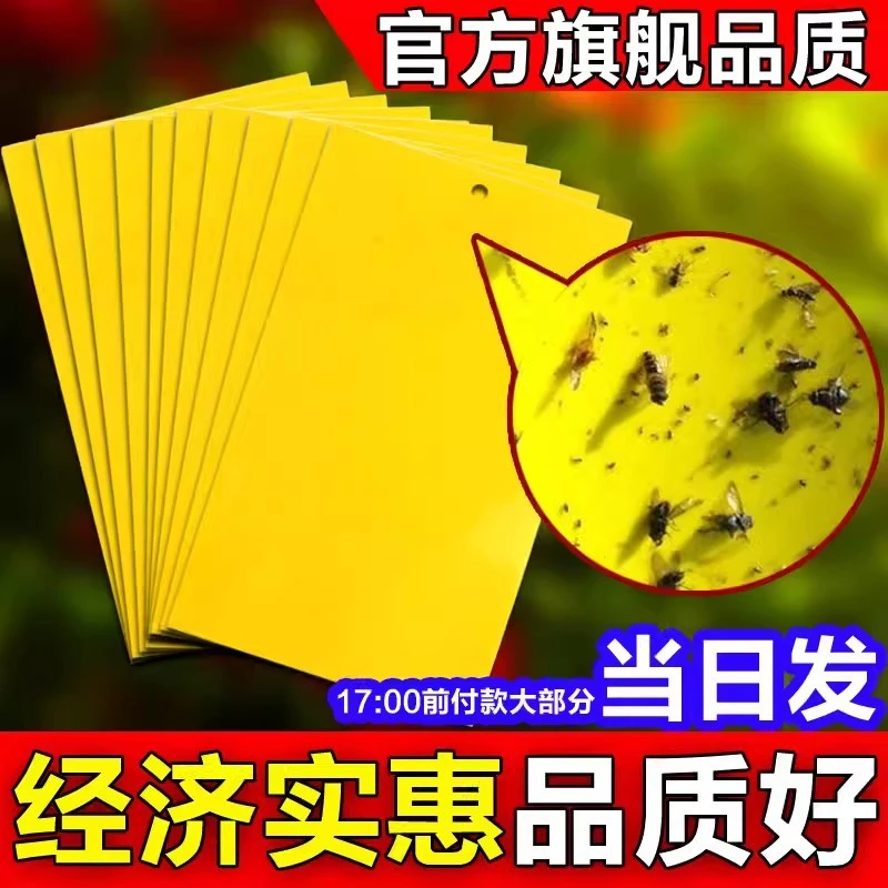 【旗舰品质】双面黄板粘虫板贴纸果园大棚灭飞虫果蝇蚊子苍蝇诱捕器