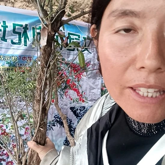 红***火完全开放枸杞树一颗文冠树一颗