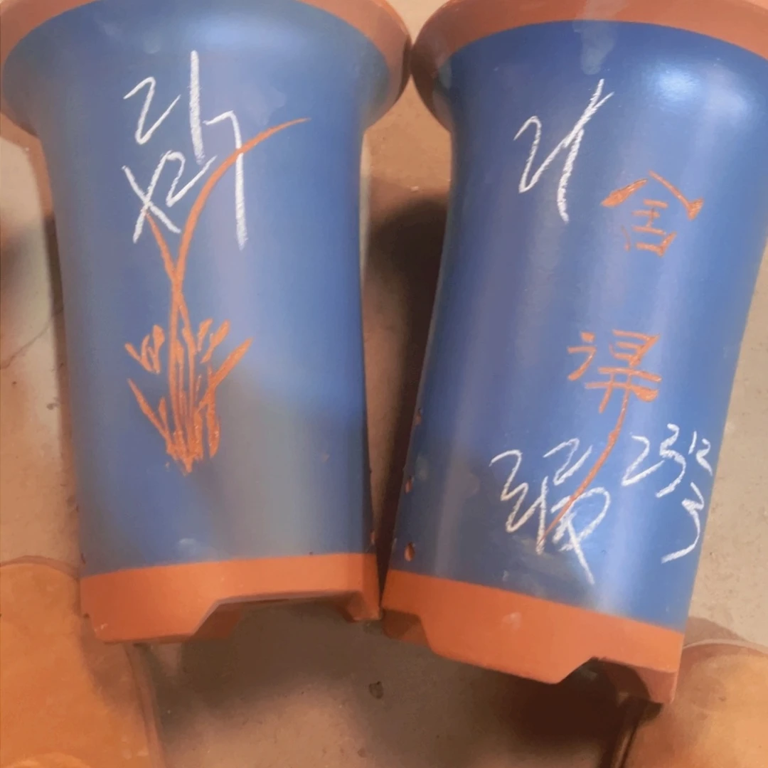 紫砂23……………………………………