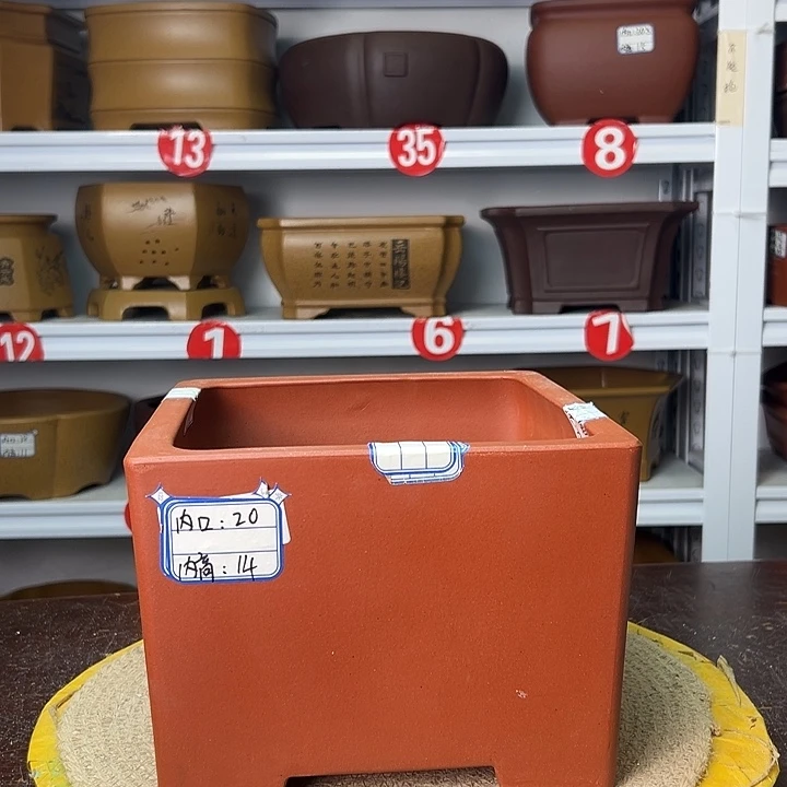 花盆紫砂你在一起