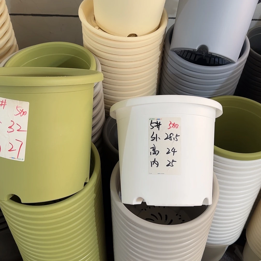 微瑕5号6个无托，白色