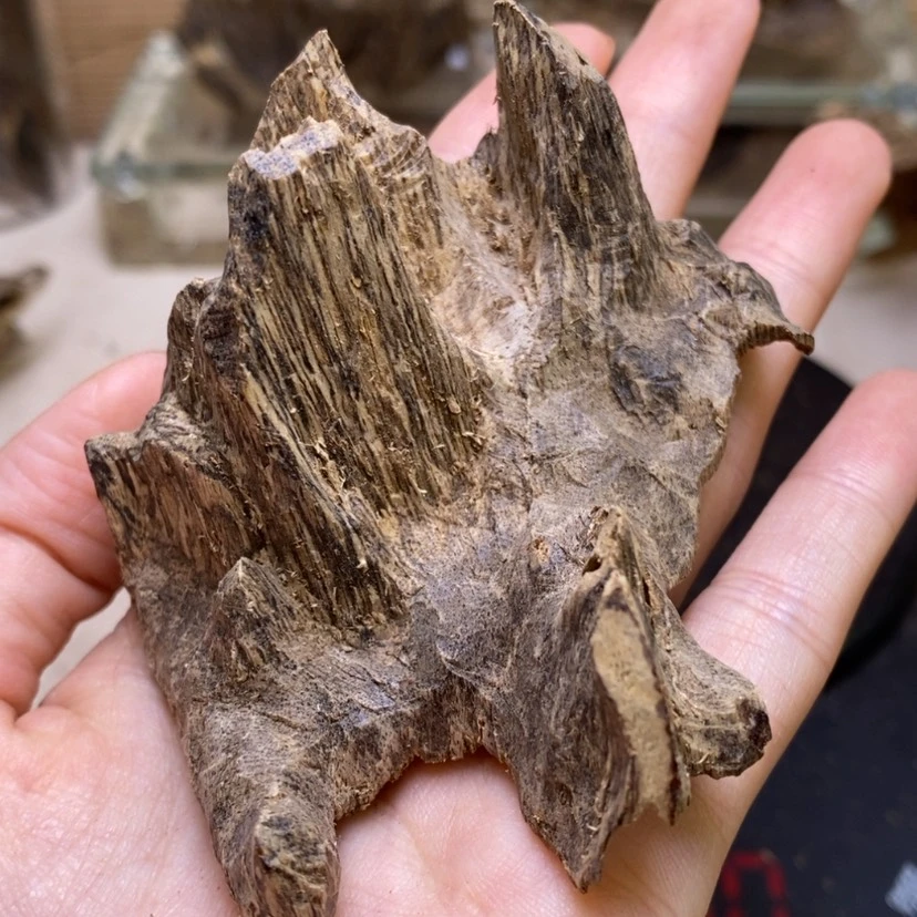 【闪购商品】海南凿口14克福利价