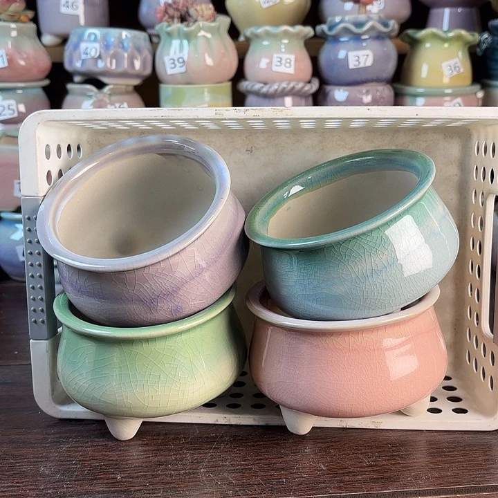 红陶量货/口高深浅搭配发4