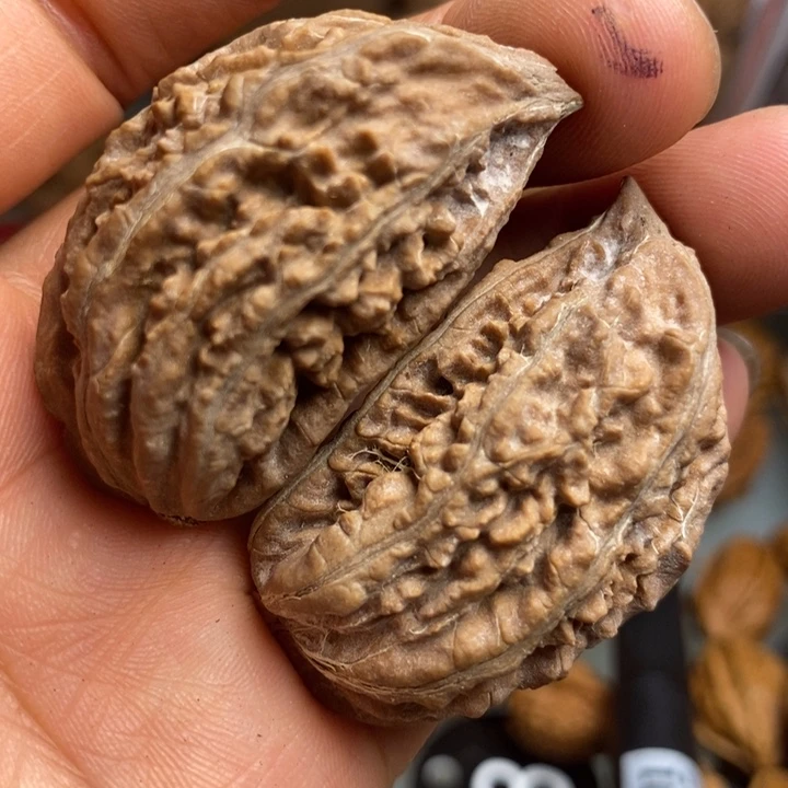 橄榄核把件拿姐呵呵189