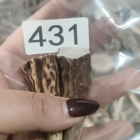 （***单鹿角鹿角鹿角鹿角鹿角鹿角