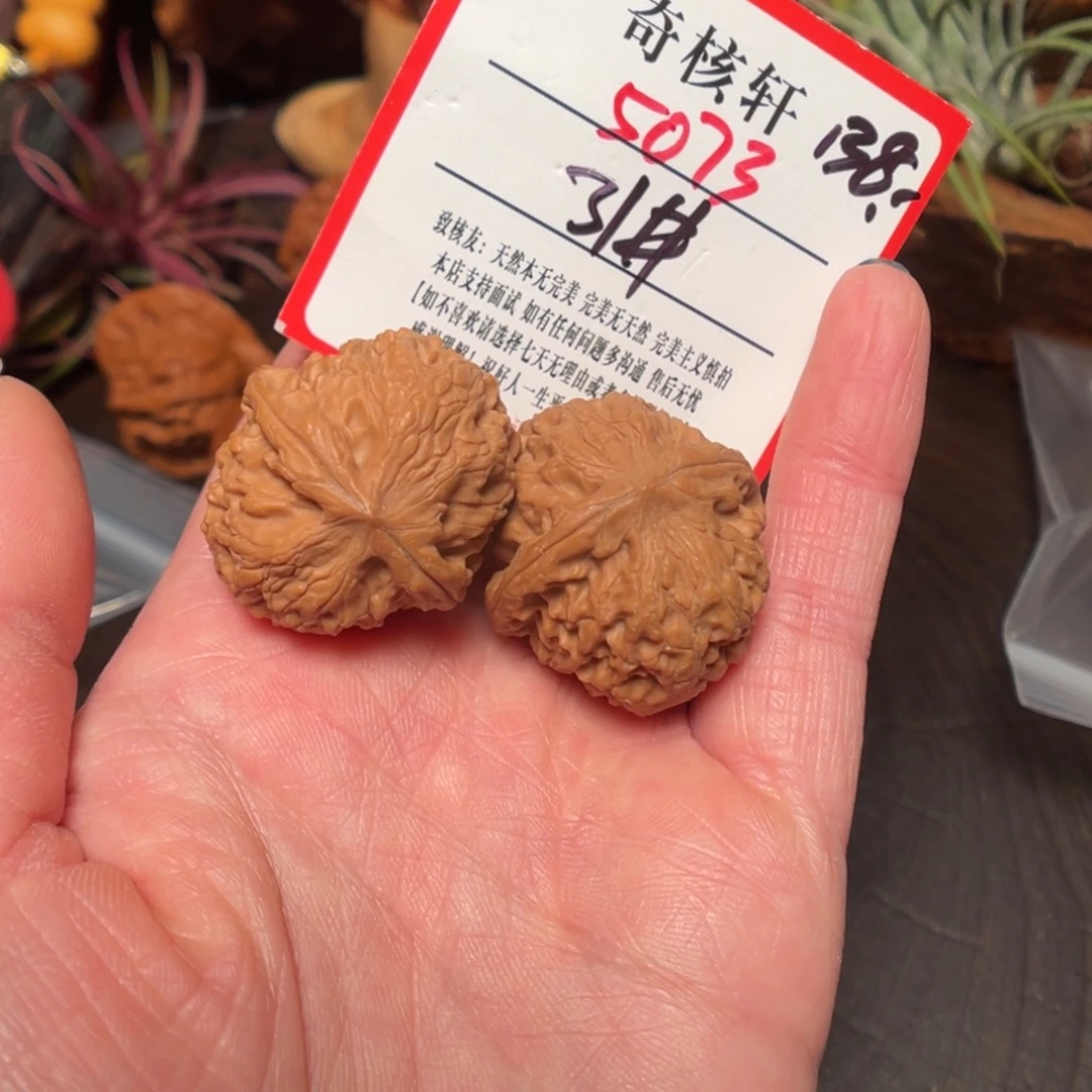 吊坠文玩核桃龙眼元宝福利5073