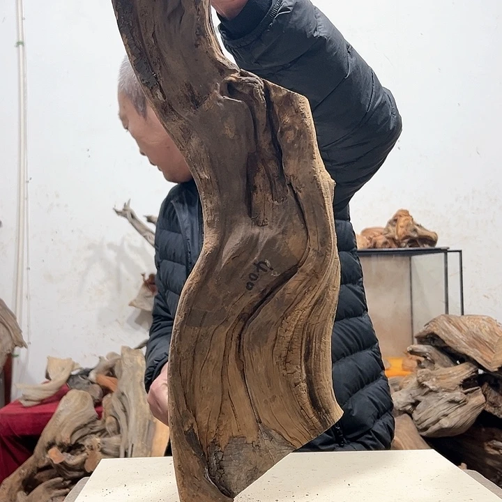 柏木不**问我们都是好孩子呀我