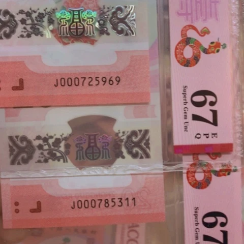 塑料小司令2张无4————————-