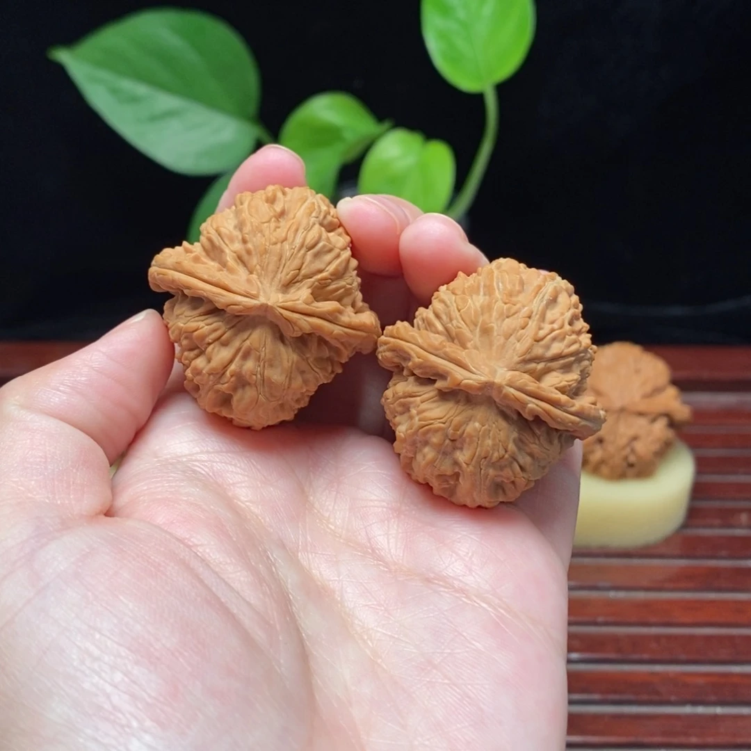 核桃37全品红皮白狮子文玩核桃