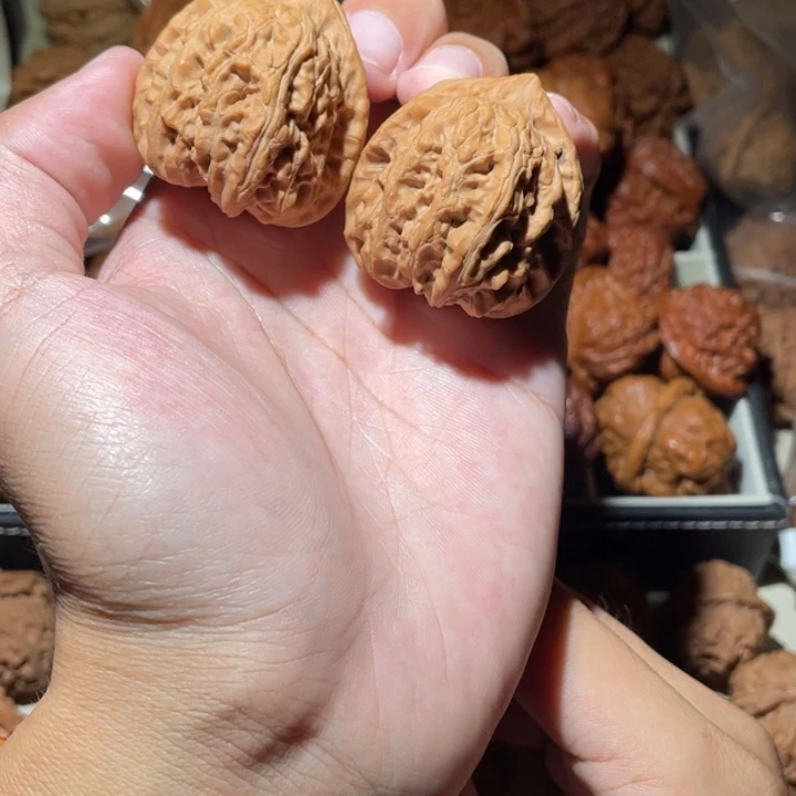 38尺寸正尖赤龙鸡心
