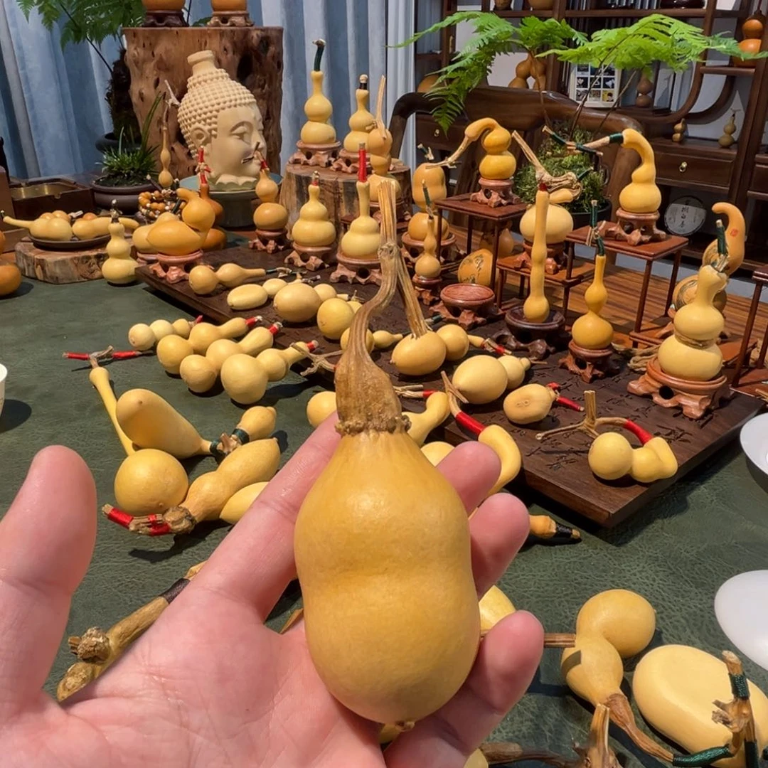 玲****重返校园第一年第一学期开学后