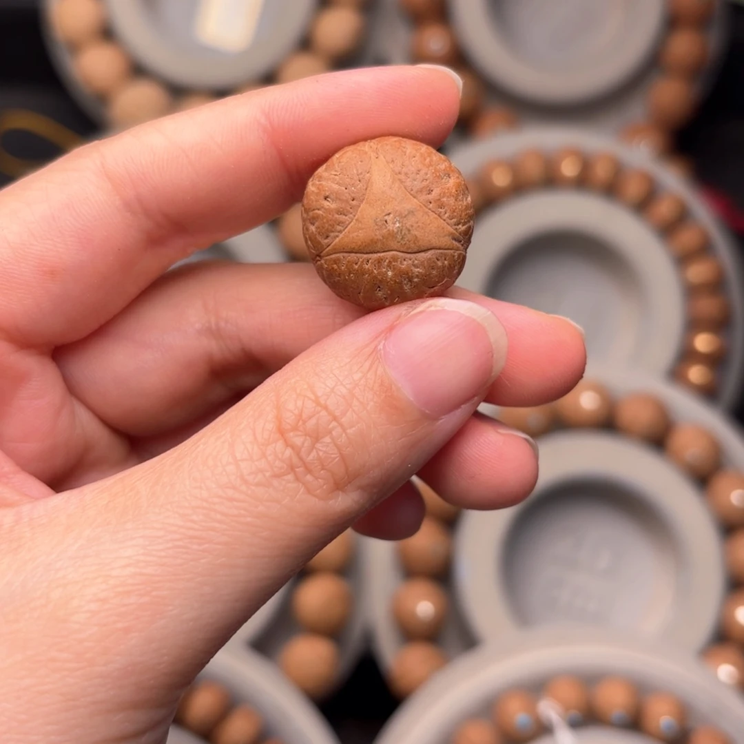 凤眼菩提吊坠四**荒龙眼单颗