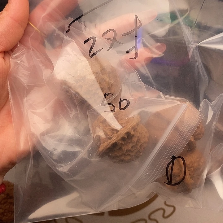 大叶紫檀（黑酸枝木类）文玩核桃文玩核桃