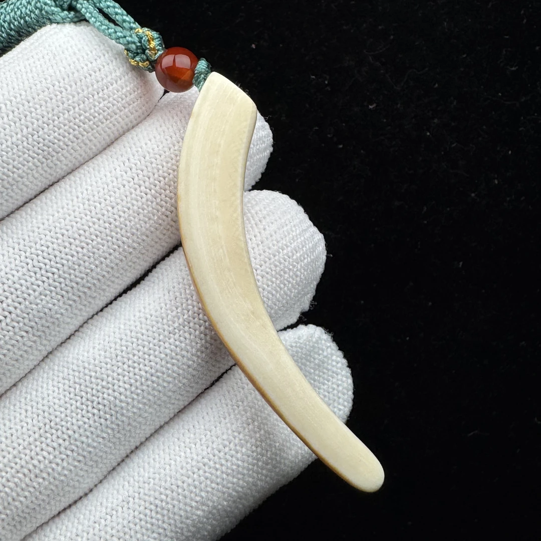 L2855天然猛犸牙尖 59mm支持鉴定 假一罚四