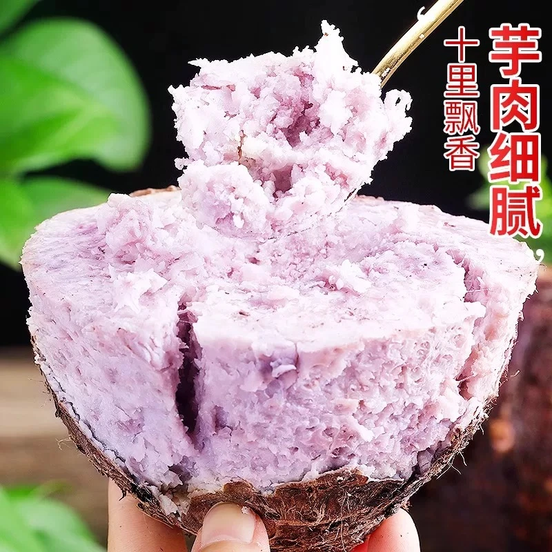 正宗广西荔浦芋头新鲜现挖粉糯香甜超抢手整个发货