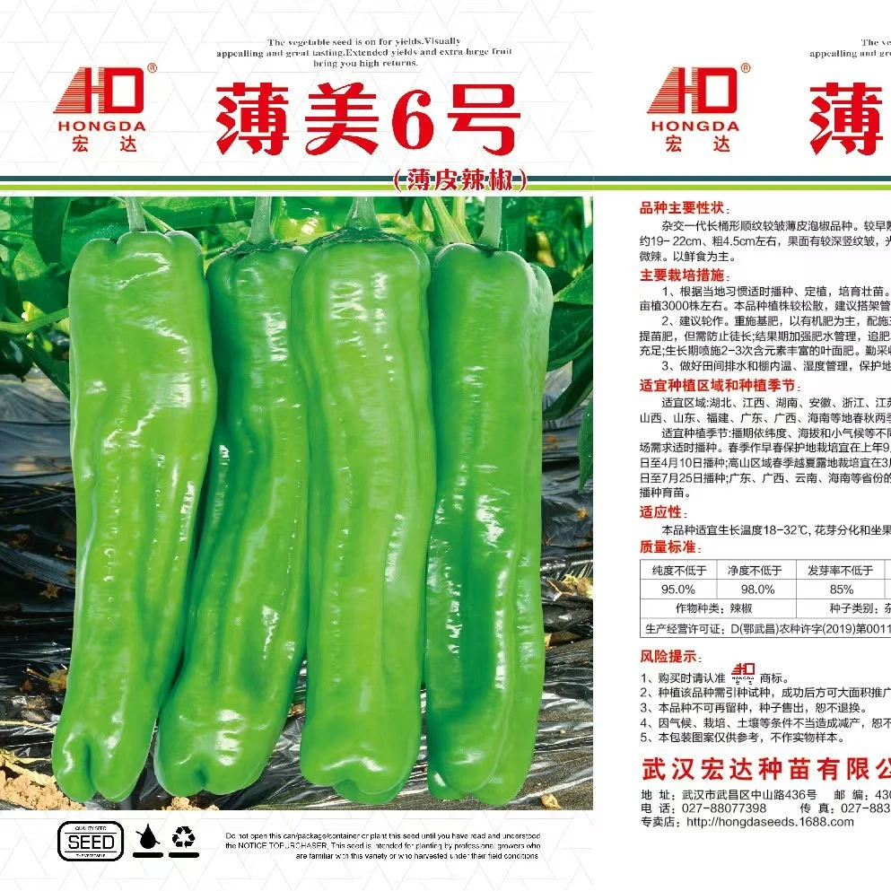 采收期长抗病薄皮辣椒蔬菜带土种子基地种植可四季辣椒树播种