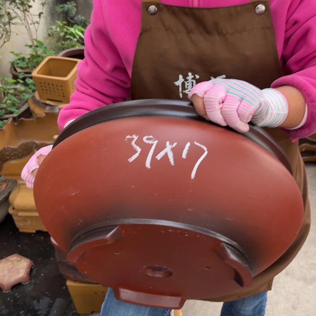 花盆紫砂盆景艺术