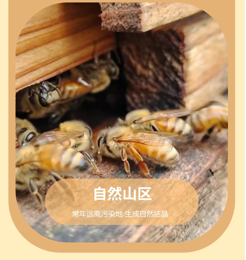 赣南农家大山深处放养土蜂蜜百花蜜一年仅取一次蜜500克/瓶