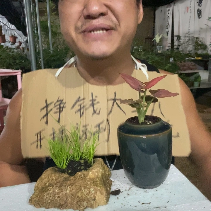 完全开放退款拉黑一物一拍27