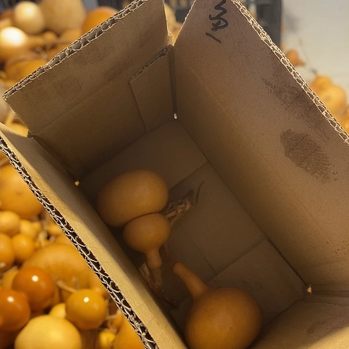 鱼**?不退不换不保龙头通货微瑕完美主义者勿拍