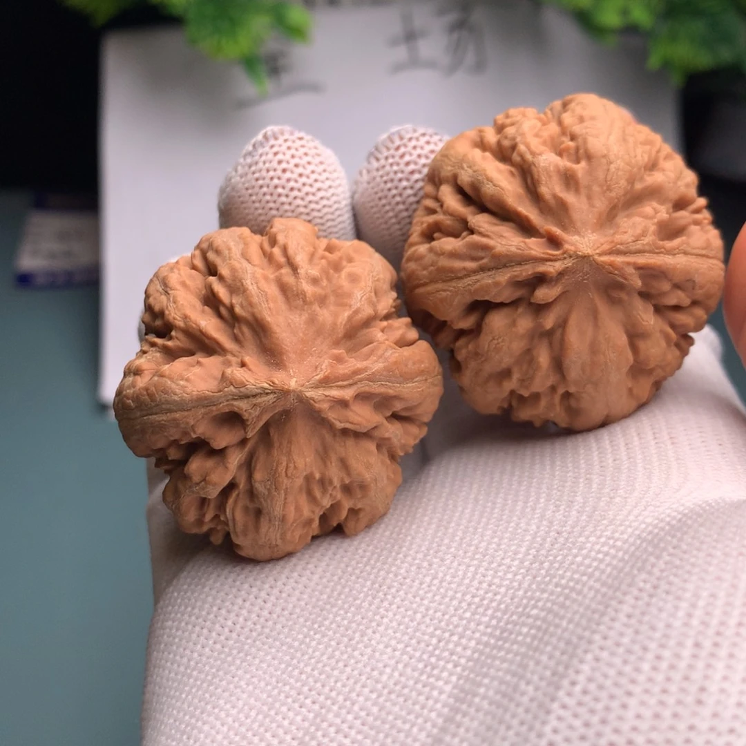 用***2文玩核桃吊坠霸王龙41