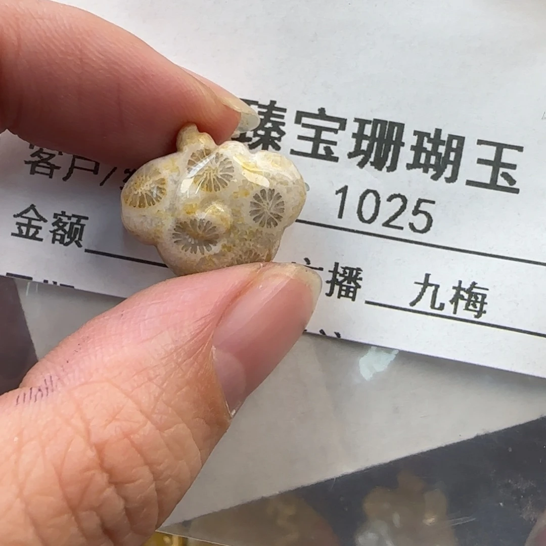 硅化珊瑚（珊瑚玉）未镶嵌颈饰