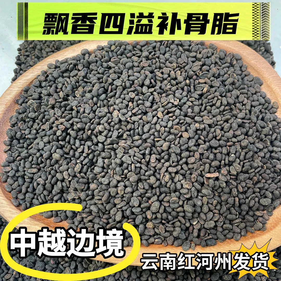 农家自晒纯干无硫补骨脂干货 手工去杂无沙 泡喝/煲汤皆可