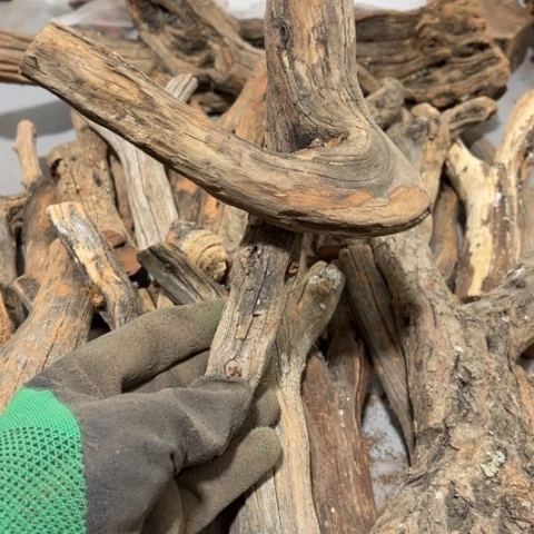 大果紫檀（缅甸花梨）N*