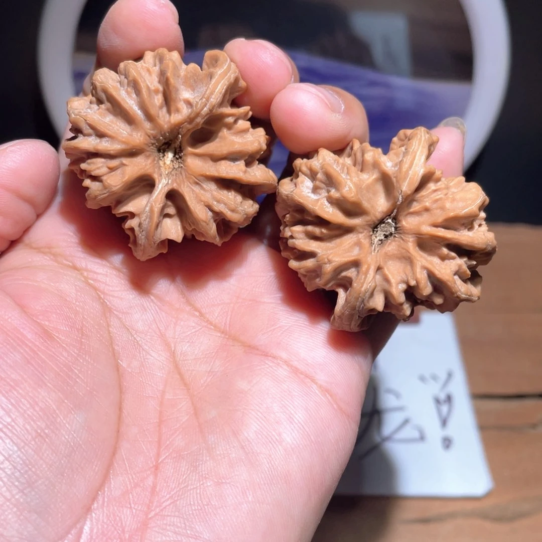 丞***丞S115 40尺 大龙