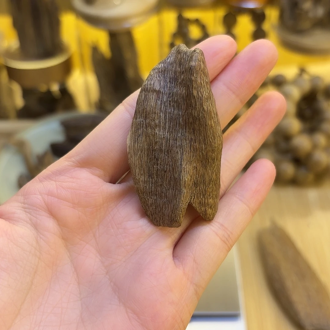 香港沉香树心瓜子4.7克