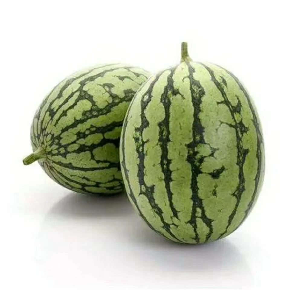 吊秧西瓜1个约2000g±100g山东省