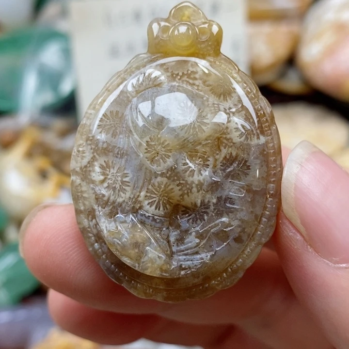硅化珊瑚（珊瑚玉）未镶嵌颈饰