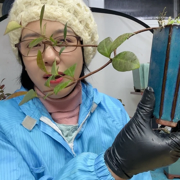 柠****无花朵的风格货架看看