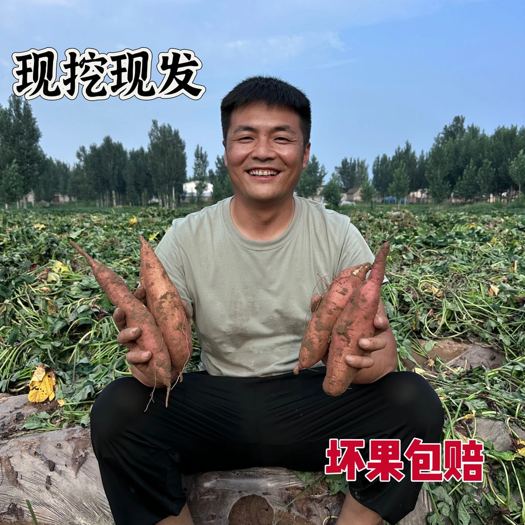 【小永甄选】正宗河南哈密冰糖薯番薯产地直发净重4.5斤大中红薯